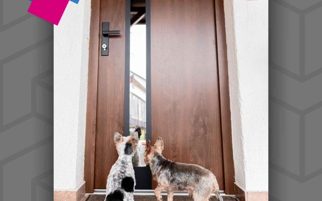 Singen 5 Acél Plus bejárati ajtó – nagykanizsai munkánk