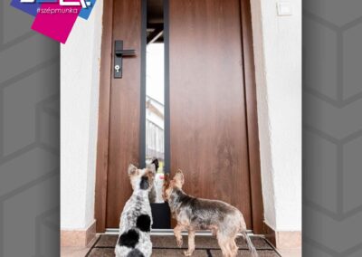 Jola Nagykanizsa | Referencia