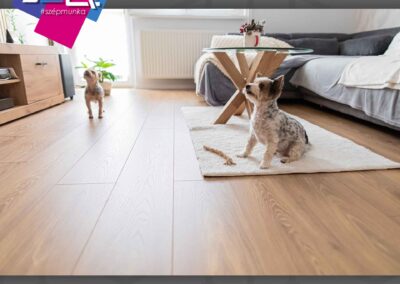 Jola Nagykanizsa | Referencia